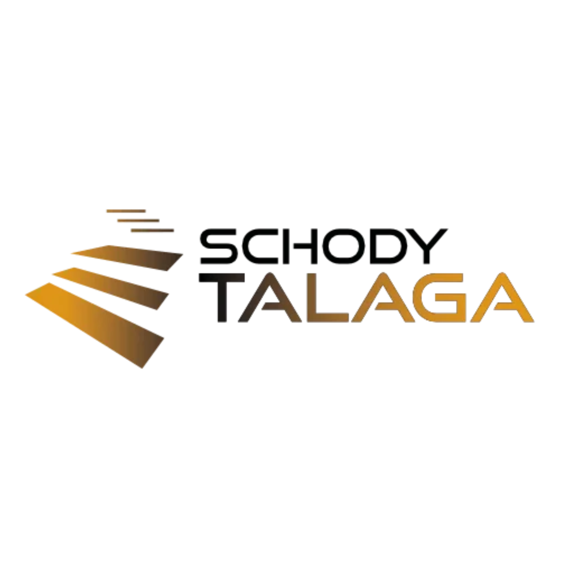 Logo Schody Talaga - klient AM Automations
